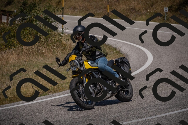 20250809123945-_5001182_am_