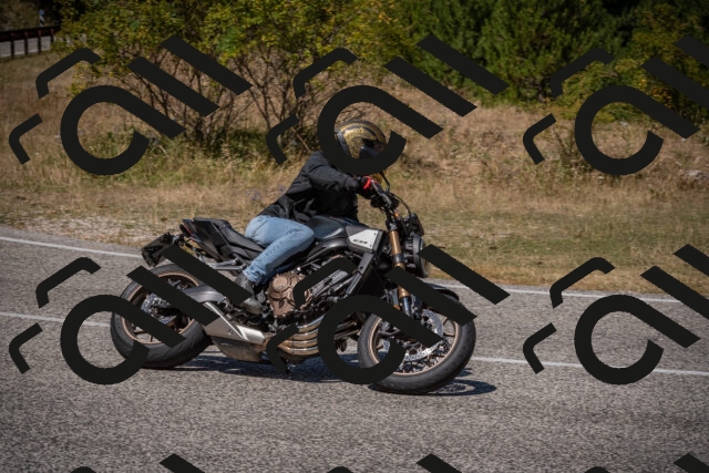 20250809124137-_5001209_am_