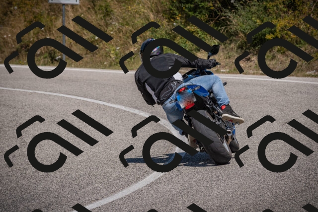 20250809124247-_5001222_am_