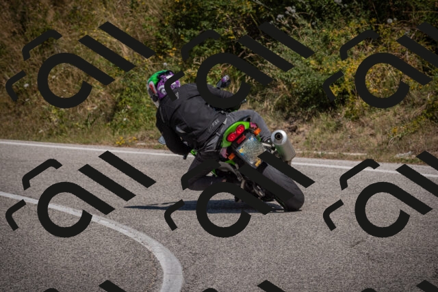 20250809124252-_5001226_am_