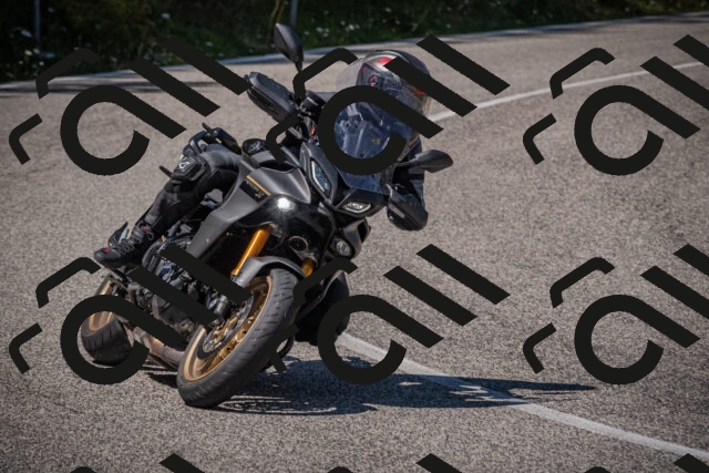 20250809124943-_5001264_am_