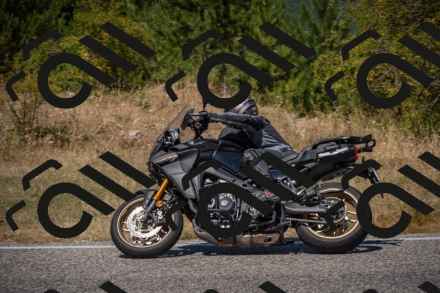 20250809125219-_5001278_am_