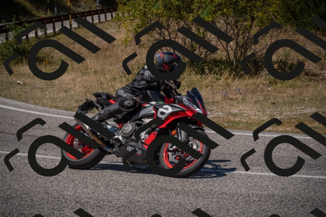 20250809125939-_5001355_am_