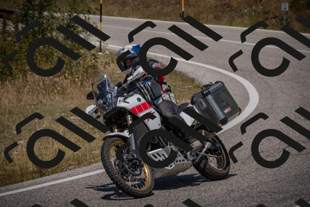 20250809130039-_5001376_am_