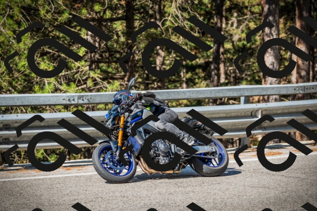 202508090957-DSC03101_c1_