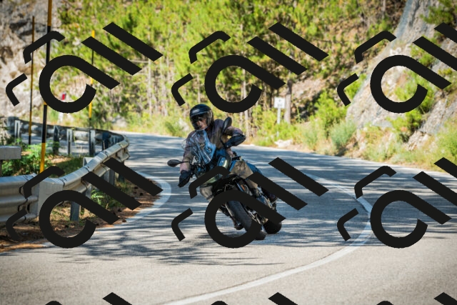 202508091000-DSC03116_c1_