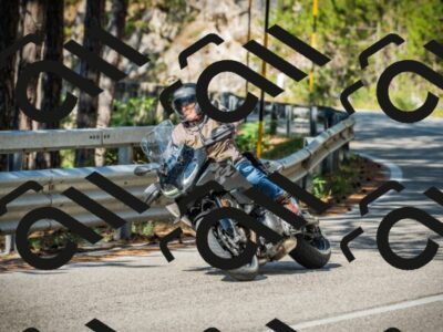 202508091000-DSC03117_c1_