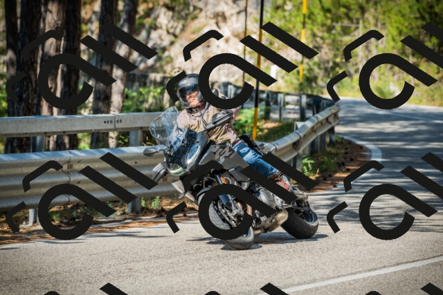 202508091000-DSC03117_c1_