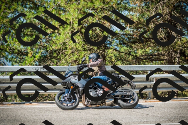 202508091000-DSC03118_c1_