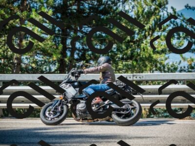 202508091000-DSC03119_c1_