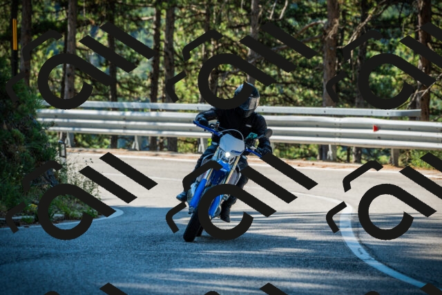 202508091000-DSC03123_c1_