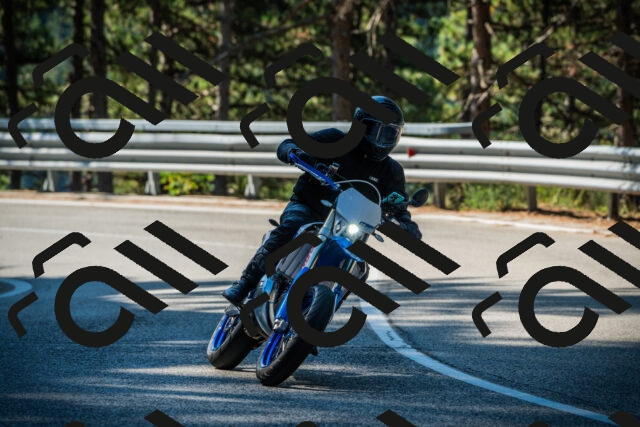 202508091000-DSC03124_c1_