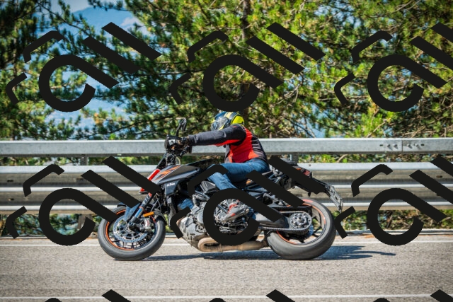 202508091001-DSC03129_c1_