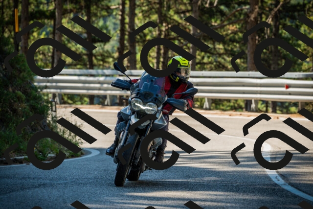 202508091002-DSC03136_c1_