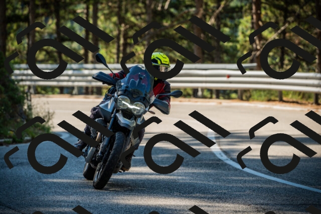 202508091002-DSC03137_c1_