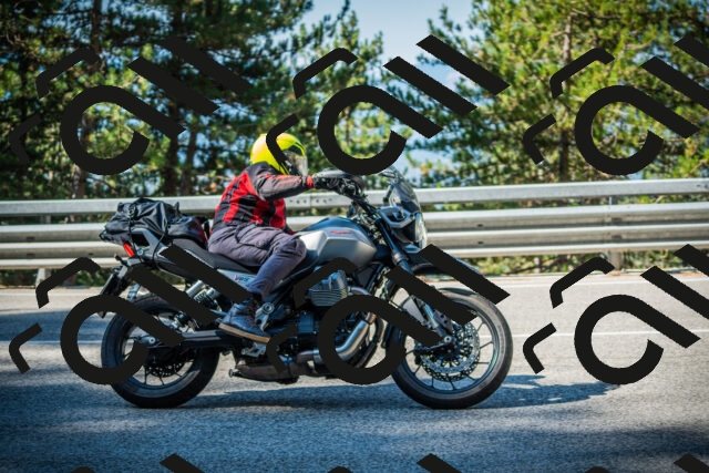 202508091002-DSC03139_c1_