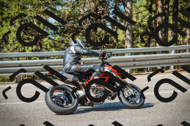 202508091003-DSC03146_c1_