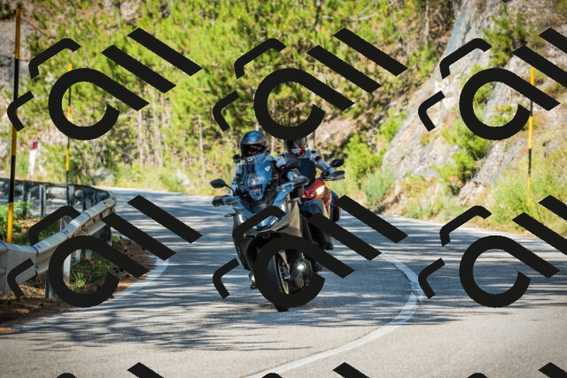 202508091004-DSC03148_c1_