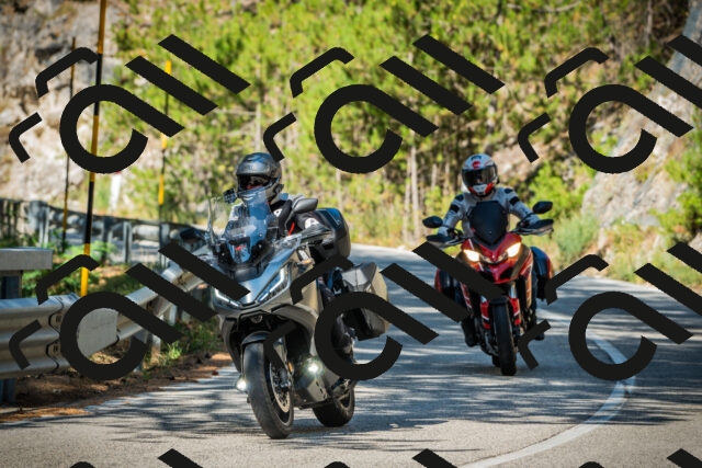 202508091004-DSC03149_c1_