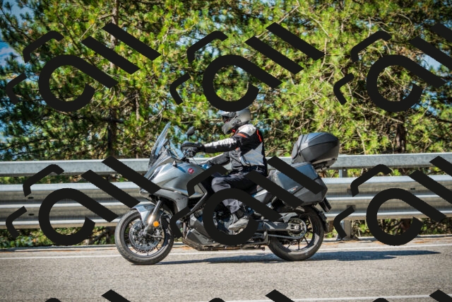 202508091004-DSC03151_c1_