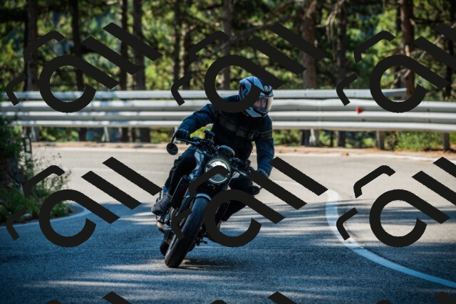 202508091004-DSC03158_c1_