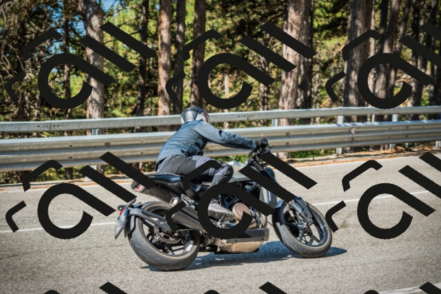 202508091004-DSC03161_c1_