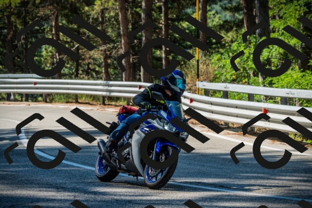 202508091005-DSC03166_c1_