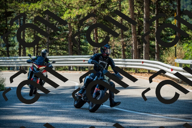 202508091005-DSC03167_c1_