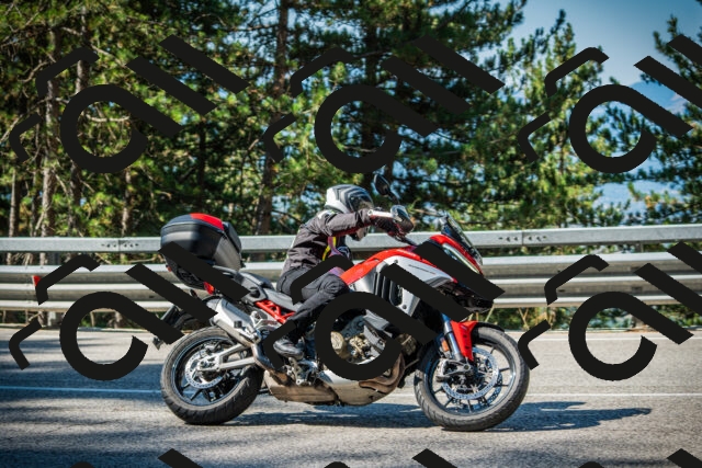 202508091005-DSC03169_c1_