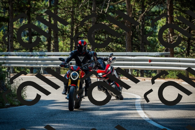 202508091006-DSC03174_c1_