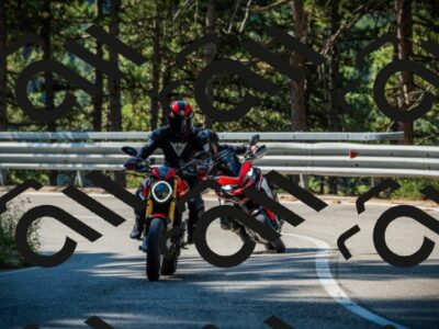 202508091006-DSC03174_c1_