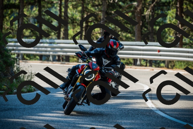 202508091006-DSC03175_c1_