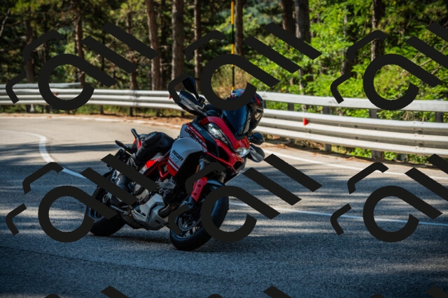 202508091007-DSC03177_c1_