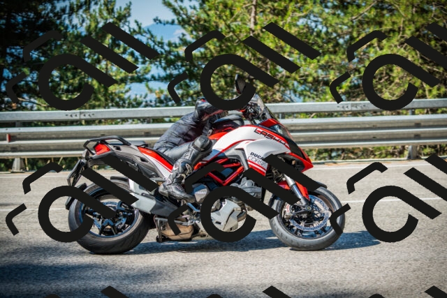 202508091007-DSC03178_c1_