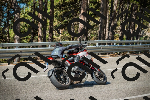 202508091007-DSC03179_c1_