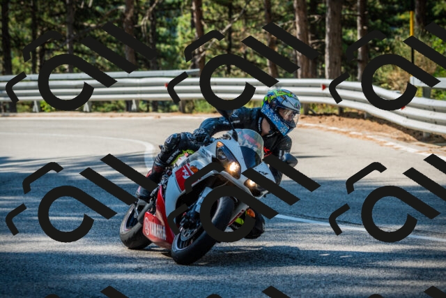 202508091007-DSC03183_c1_