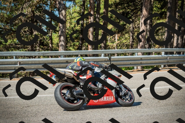 202508091007-DSC03185_c1_