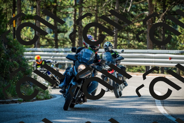 202508091007-DSC03189_c1_