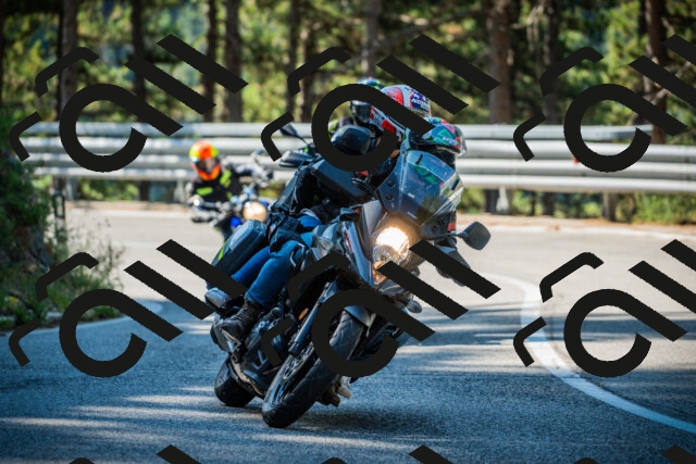 202508091007-DSC03190_c1_