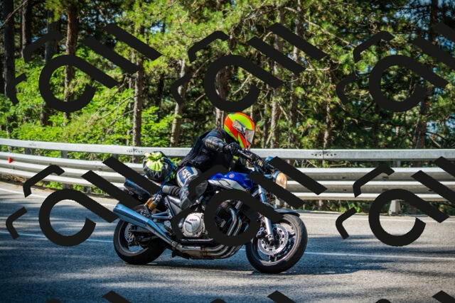 202508091007-DSC03194_c1_