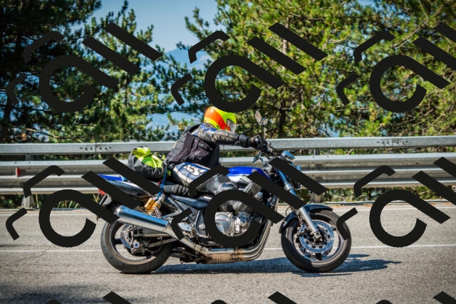 202508091007-DSC03195_c1_