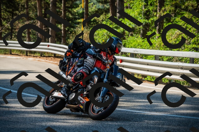 202508091007-DSC03198_c1_