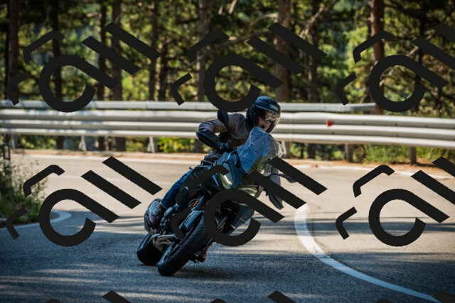 202508091008-DSC03205_c1_