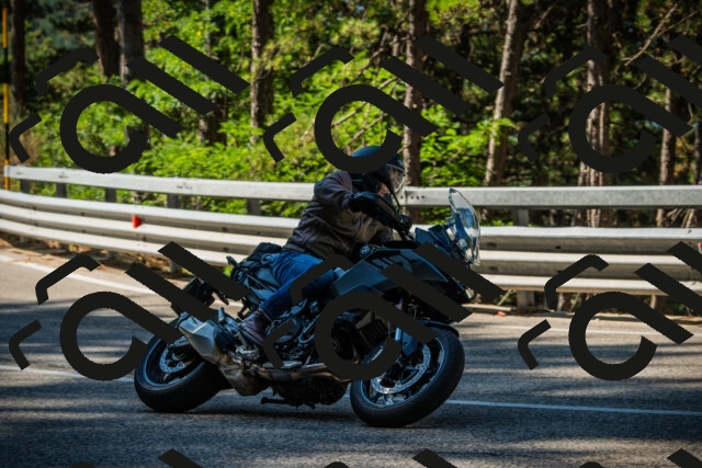 202508091008-DSC03206_c1_