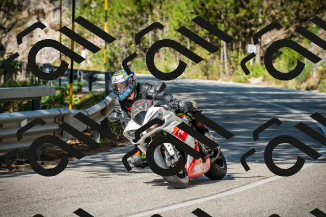 202508091012-DSC03210_c1_