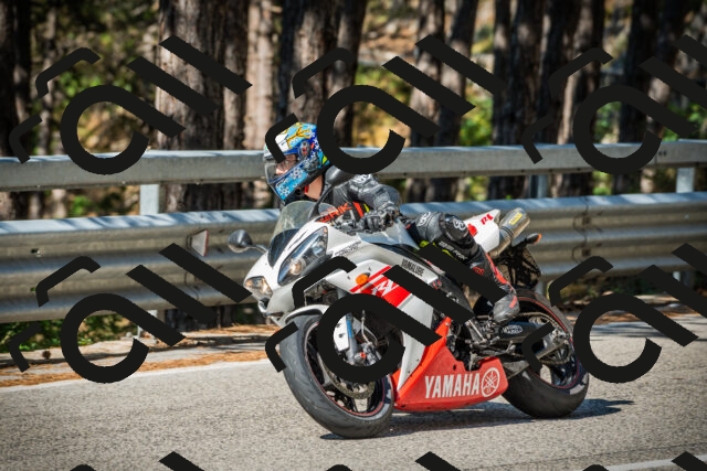 202508091012-DSC03211_c1_