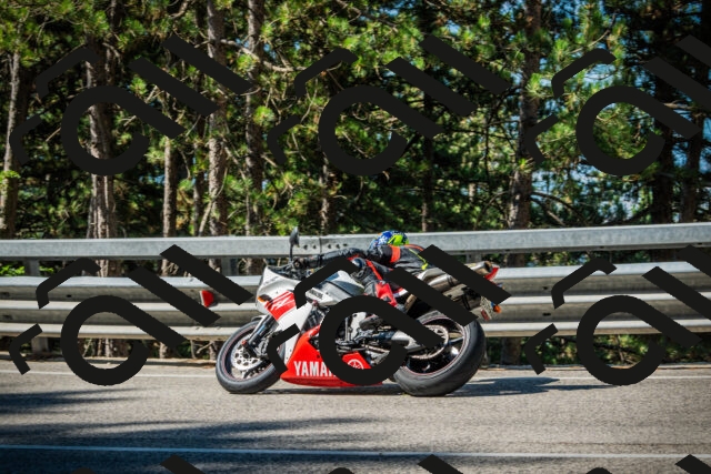 202508091012-DSC03213_c1_