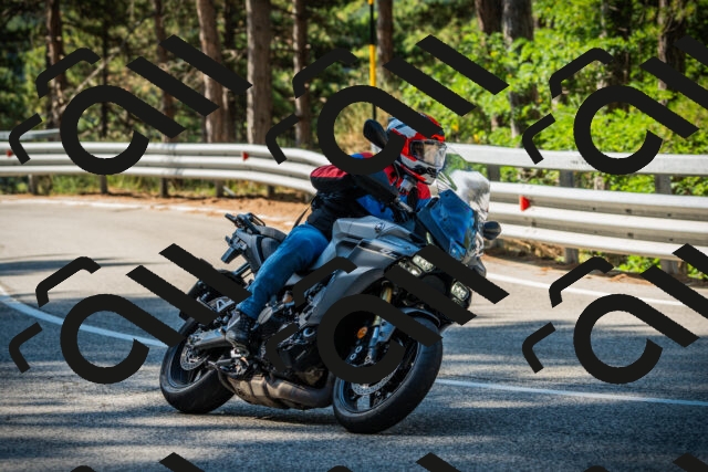 202508091012-DSC03216_c1_