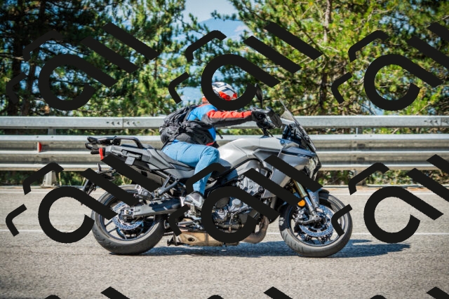 202508091012-DSC03217_c1_