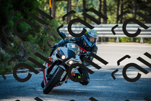 202508091013-DSC03223_c1_